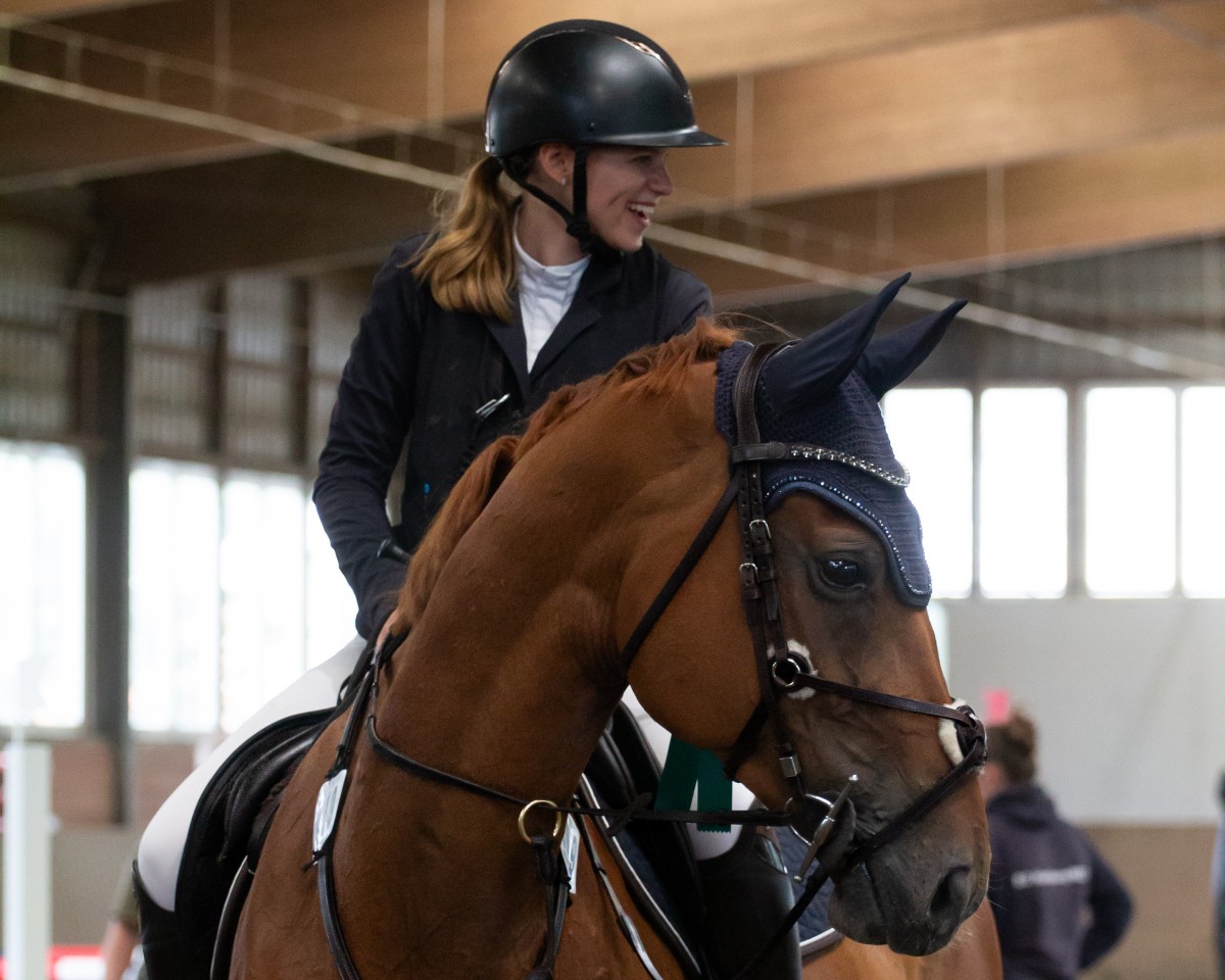 Springpferd Sandro Zento (Oldenburger, 2015, von Sandro Boy)