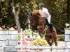 jumper Le Grand Geste RP (German Sport Horse, 2018, from Chacfly PS)