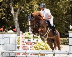 jumper Le Grand Geste RP (German Sport Horse, 2018, from Chacfly PS)