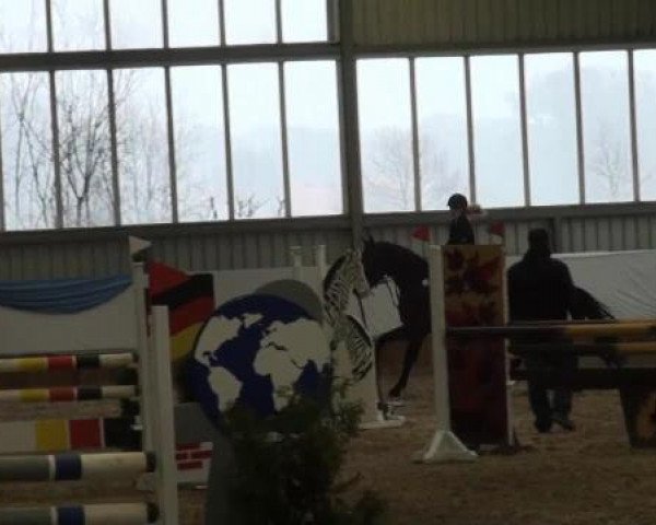 Grevener-Hallenspringturnier 2013