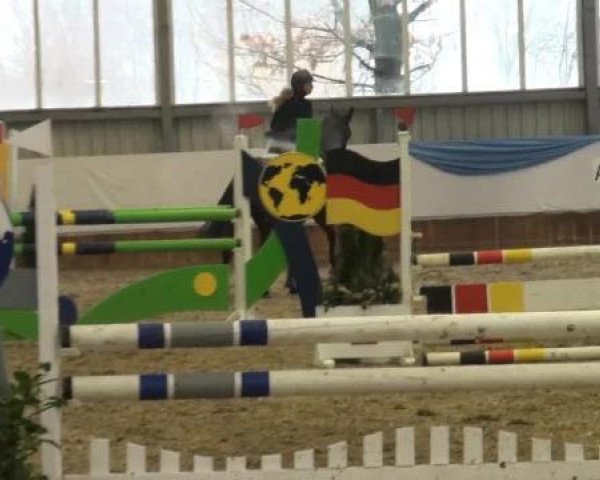 Grevener-Hallenspringturnier 2013