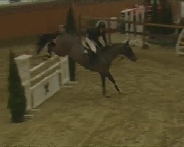 Rosendorf-Classics 2013