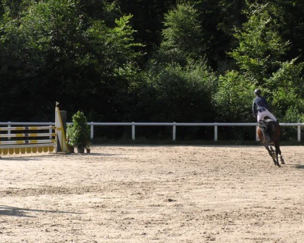 Reitturnier Hünfelden-Kirberg 2024