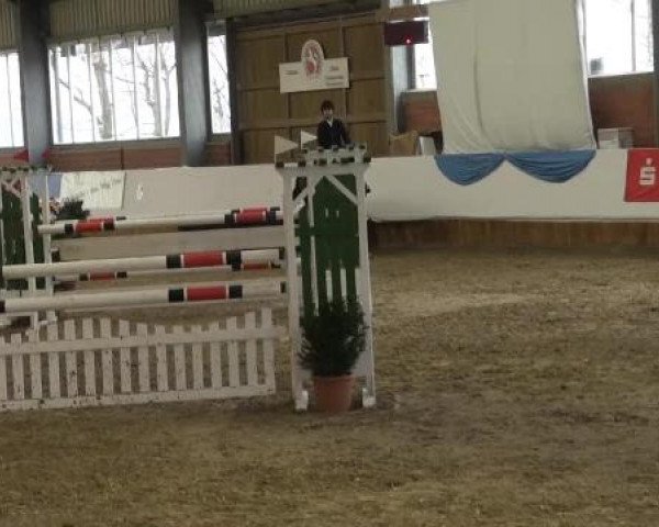 Grevener-Hallenspringturnier 2013