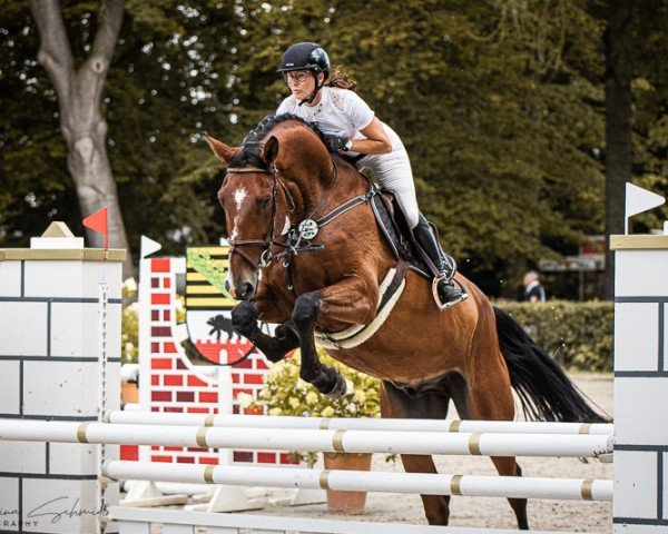 jumper Vin Diesel 6 (German Sport Horse, 2018, from Vingino)