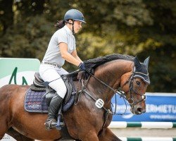 Springpferd Caschuba (Deutsches Sportpferd, 2018, von Cloud number nine)