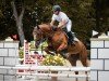 jumper Lolitha von Manchester DB (German Sport Horse, 2018, from Manchester van't Paradijs)