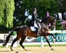 dressage horse Fidergold 6 (Oldenburg, 2011, from Fidertanz)