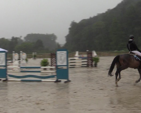Reitturnier Hemer-Oese an der Edelburg 2024