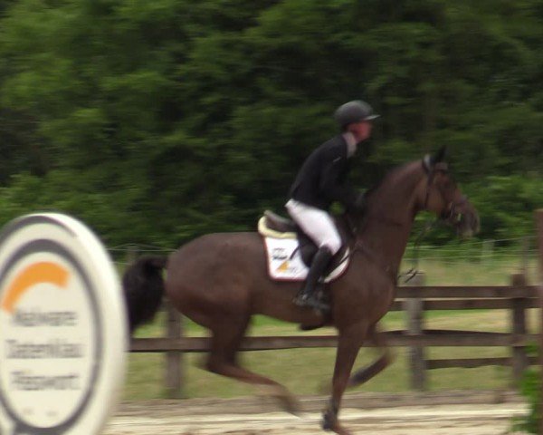 Reitturnier Hemer-Oese an der Edelburg 2024