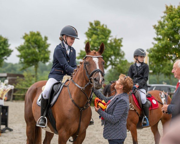 Springpferd Dakhira (Deutsches Reitpony, 2009, von Der feine Lord AT)