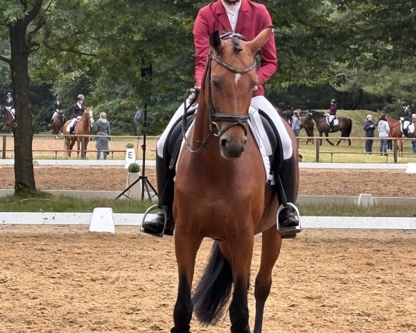 dressage horse Roxy 222 (Oldenburg, 2016, from Rock for Me)