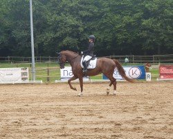 dressage horse Freestyle L (Oldenburg, 2018, from Vitalis)