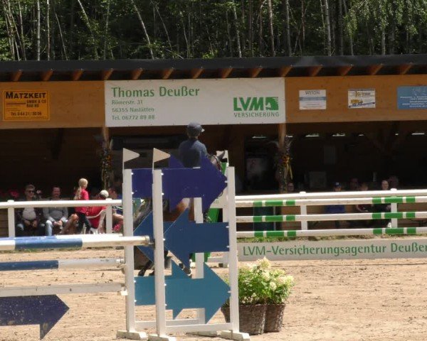 Reitturnier Hünfelden-Kirberg 2024