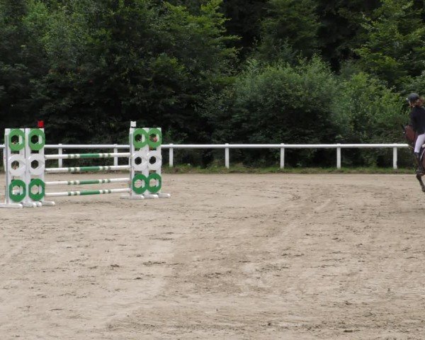 Reitturnier Hünfelden-Kirberg 2024