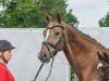 broodmare Boa Ma K (Hanoverian, 2008, from Belissimo NRW)