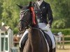 dressage horse Elfaron nuin - silevren Giliath (Westphalian, 2017, from Enrico Morricone)