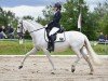 Dressurpferd Tequilla (Lusitano, 2004, von Cairo V.M.)