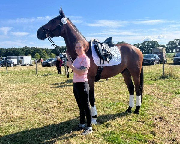 dressage horse Follow me happy (Hanoverian, 2017, from Tannenhof's Fahrenheit)