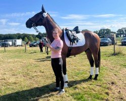 dressage horse Follow me happy (Hanoverian, 2017, from Tannenhof's Fahrenheit)