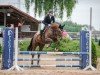 dressage horse Riosha (Bavarian, 2011, from Fürst Frederik)