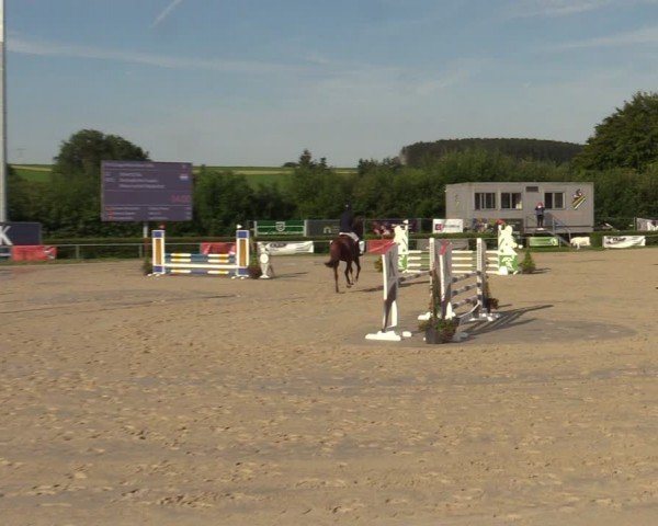 Reitturnier Weiswampach  2024