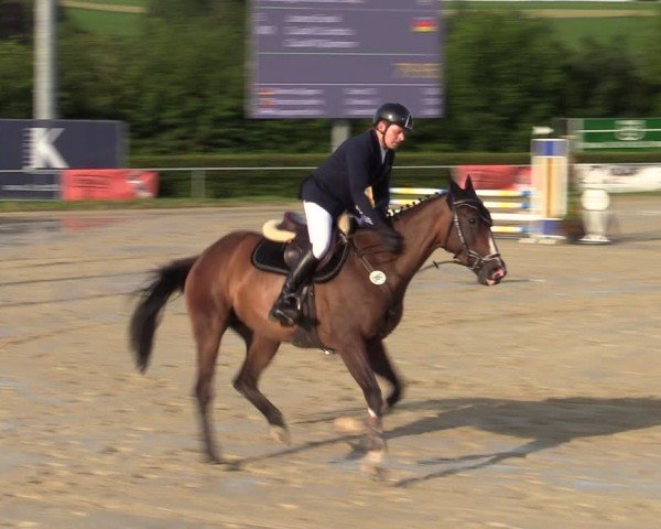 Reitturnier Weiswampach  2024
