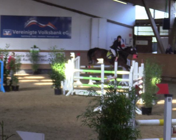 Reitturnier Steinheim 2021