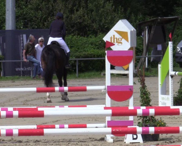 Reitturnier Weiswampach  2024