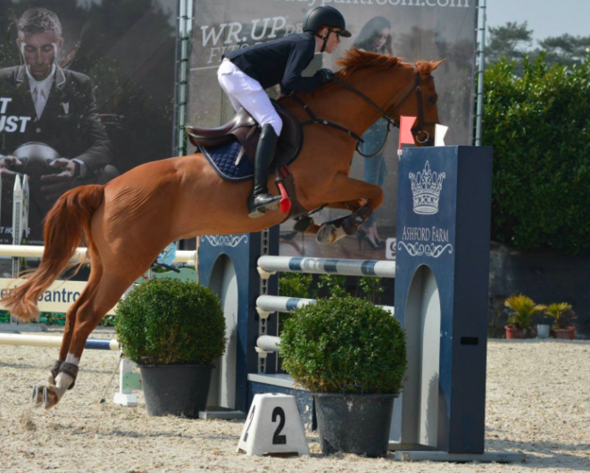 jumper Karim van Orchid S (Nederlands Rijpaarden en Pony, 2009, from Kanshebber)