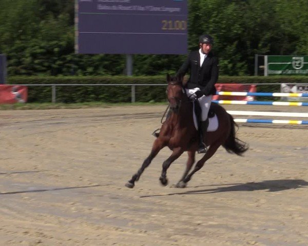 Reitturnier Weiswampach  2024