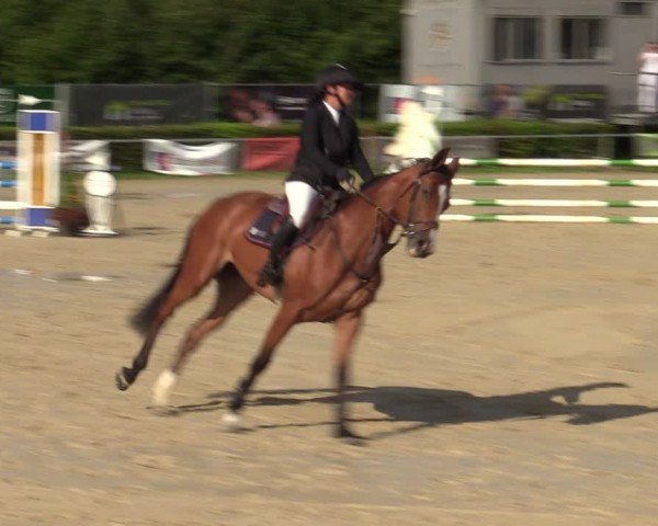 Reitturnier Weiswampach  2024