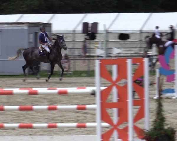 Reitturnier Weiswampach  2024
