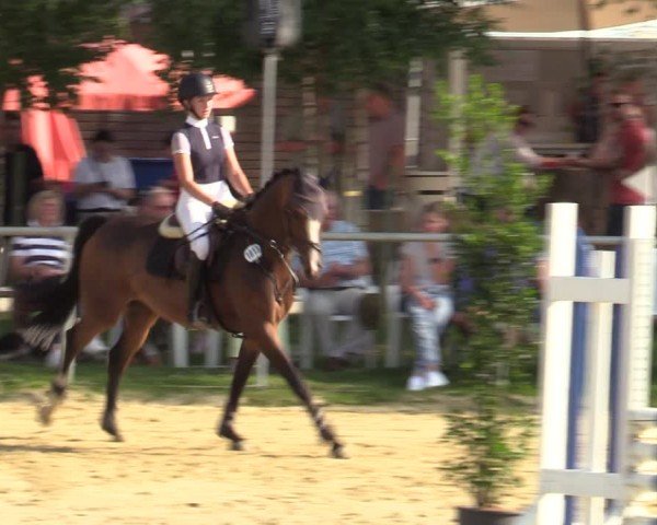 Reitturnier Herbern 2024