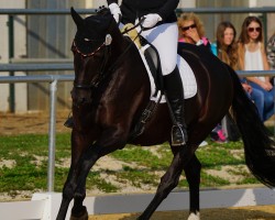 broodmare Pajanna (Bavarian, 2011, from Licotus)