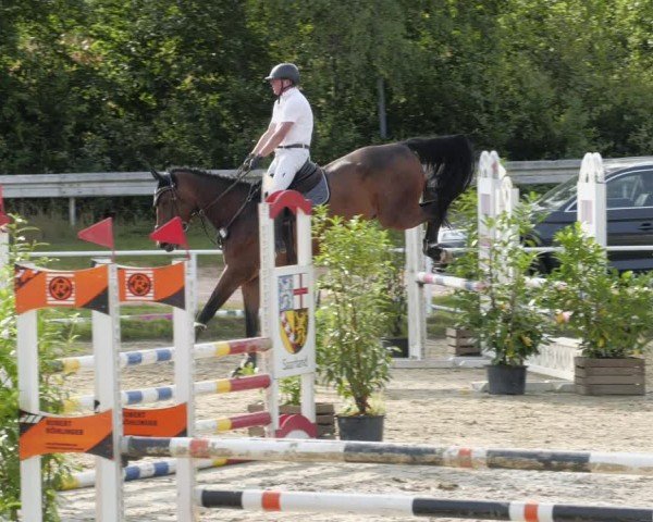 Reitturnier Heiligenwald 2024