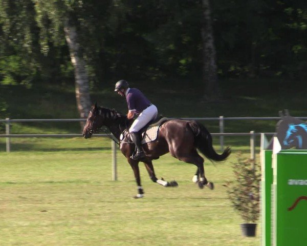 Reitturnier Gardelegen 2024