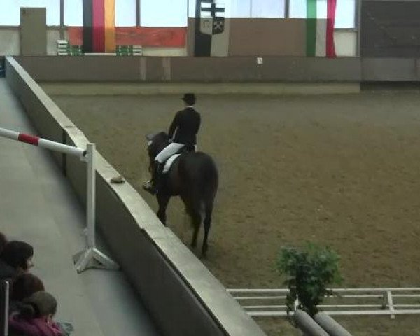 Hallen-Reit- und Springturnier 2013 beim RV Alt Marl