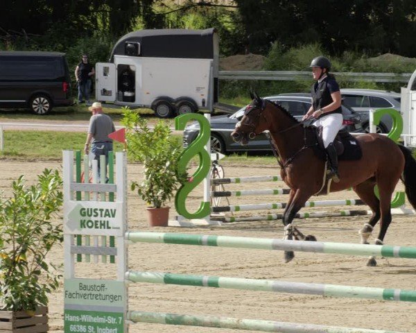 Reitturnier Heiligenwald 2024