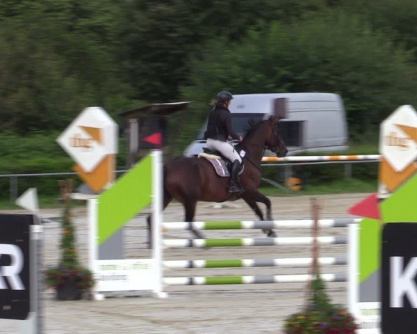 Reitturnier Weiswampach  2024