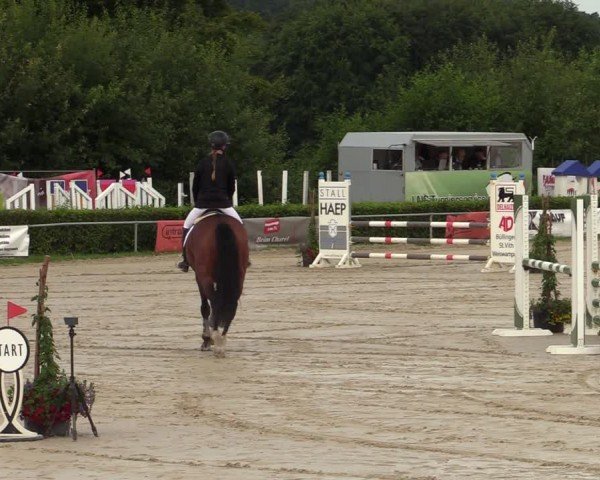 Reitturnier Weiswampach  2024