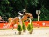 jumper Mary Poppins P (German Riding Pony, 2012, from Machno Carwyn)