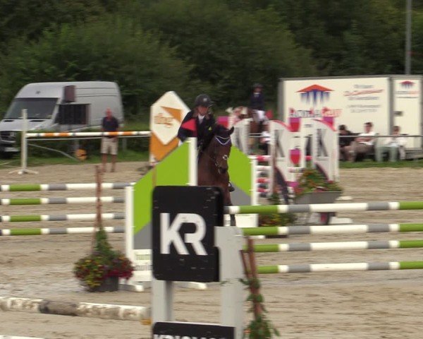 Reitturnier Weiswampach  2024