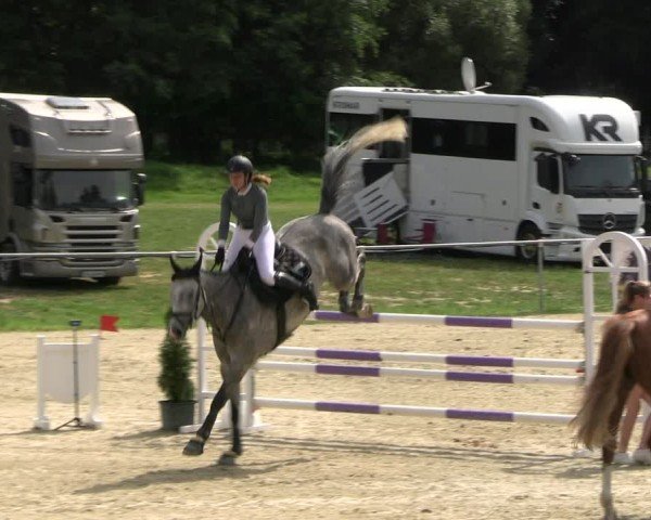 Reitturnier Bad Liebenstein/Sorga 2024