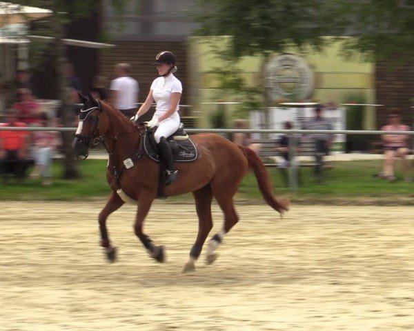 Reitturnier Herbern 2024