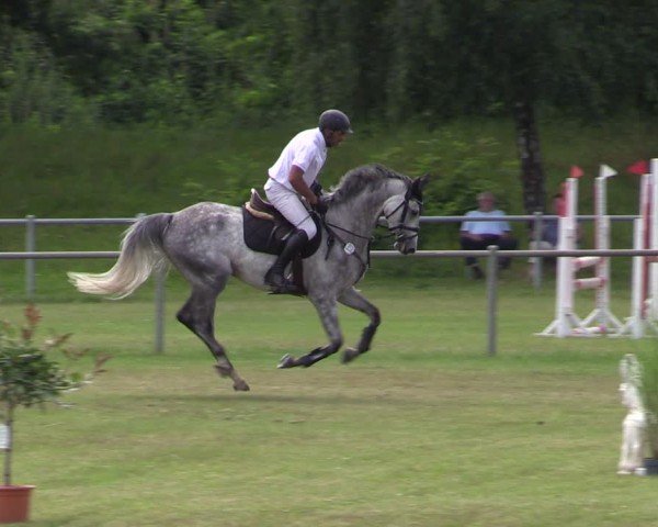 Reitturnier Gardelegen 2024