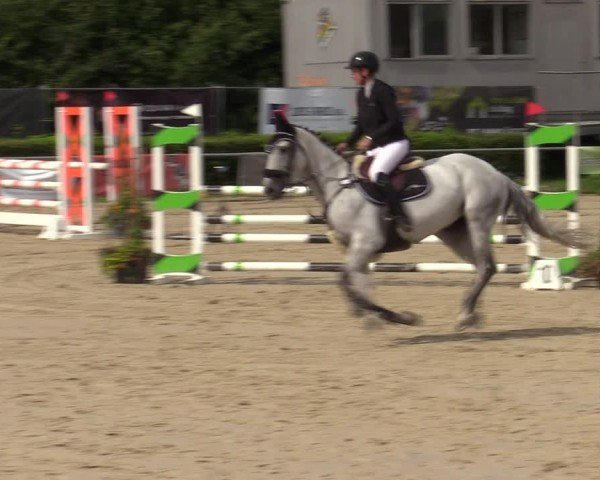 Reitturnier Weiswampach  2024