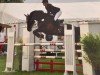 jumper Flying Dutchmen (Hanoverian, 2009, from Fabriano)