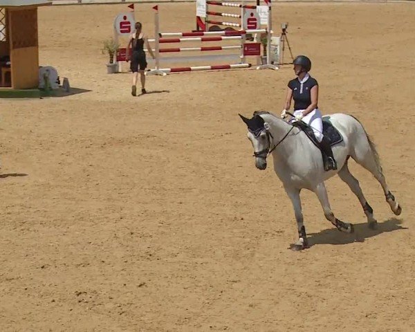 Reitturnier Tiefenhof/Opf. 2024