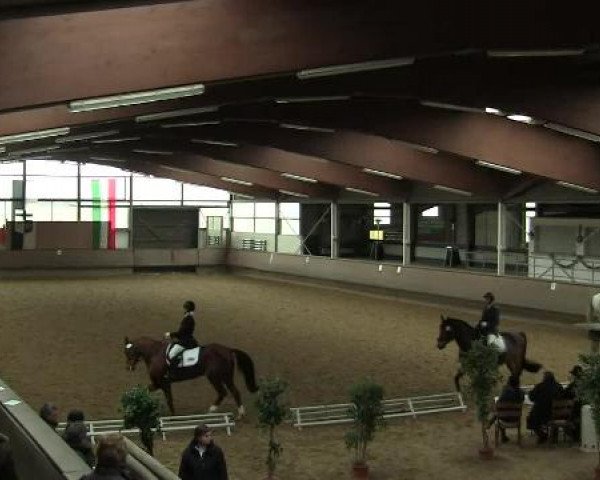 Hallen-Reit- und Springturnier 2013 beim RV Alt Marl